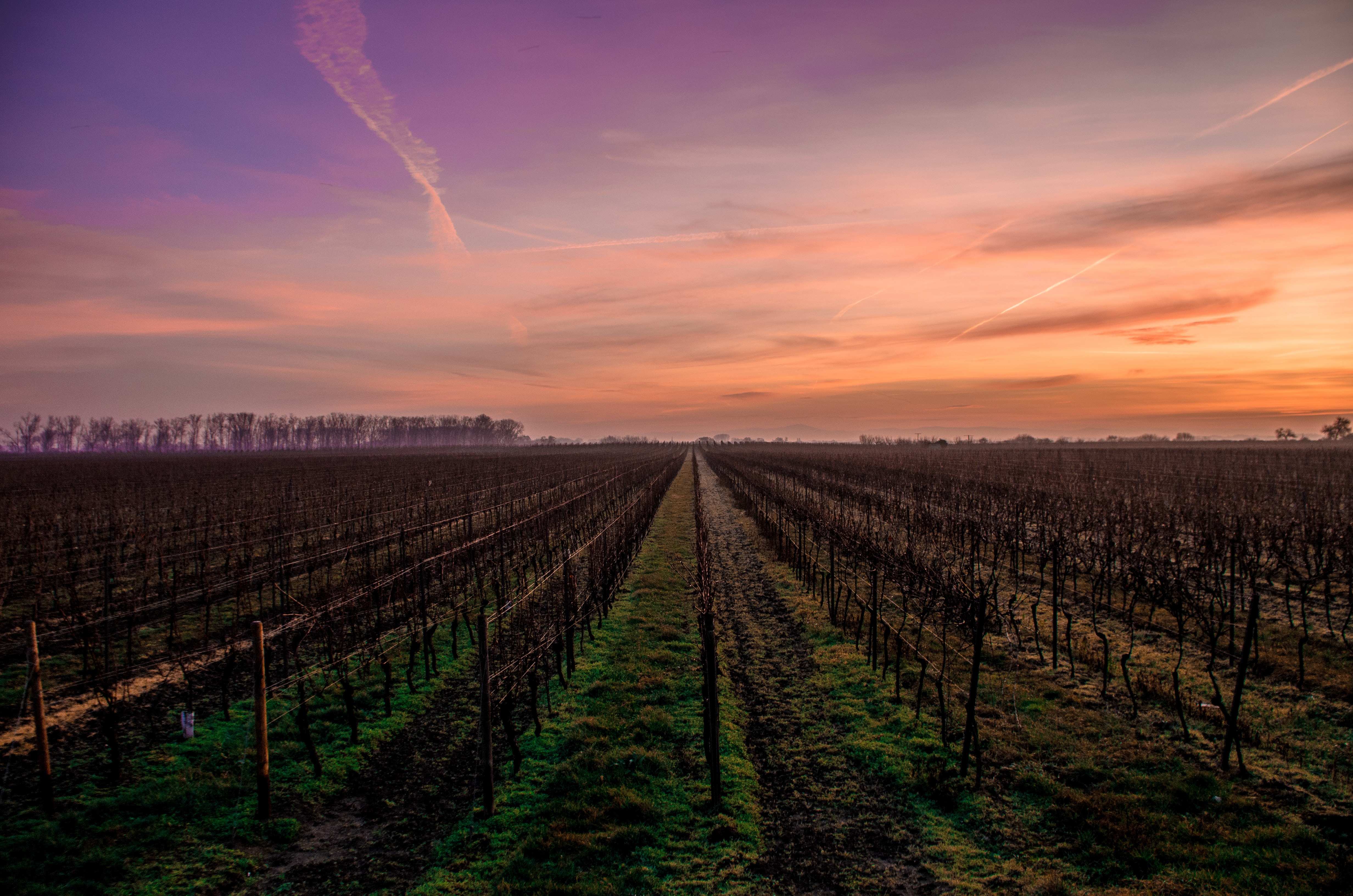 Karsten wurth inf1783 56781 unsplash