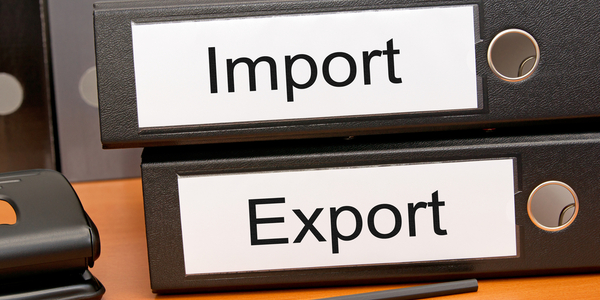 Customs import export